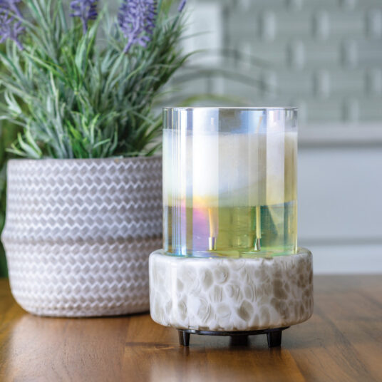 2-in-1 Fragrance Warmer